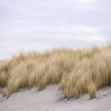 Nivekerke 8 Nieuwmunster De Haan, 3-bedroom House For 4 To 6 People, Between Wenduine, 1 Km, And De Haan, 2 Km, 500 Meters From The Beach,15 Min From Bruges, Ostend And Knokke, Fenced Garden, Bed Linen And Towels Provided, Pet Allowed, On Dem Hébergement de vacances