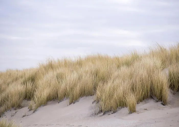 Nivekerke 8 Nieuwmunster De Haan, 4-bedroom House For 4 To 6 People, Between Wenduine, 1 Km, And De Haan, 2 Km, 500 Meters From The Beach,15 Min From Bruges, Ostend And Knokke, Fenced Garden, Bed Linen And Towels Provided, Pet Allowed, On Dem Holiday home